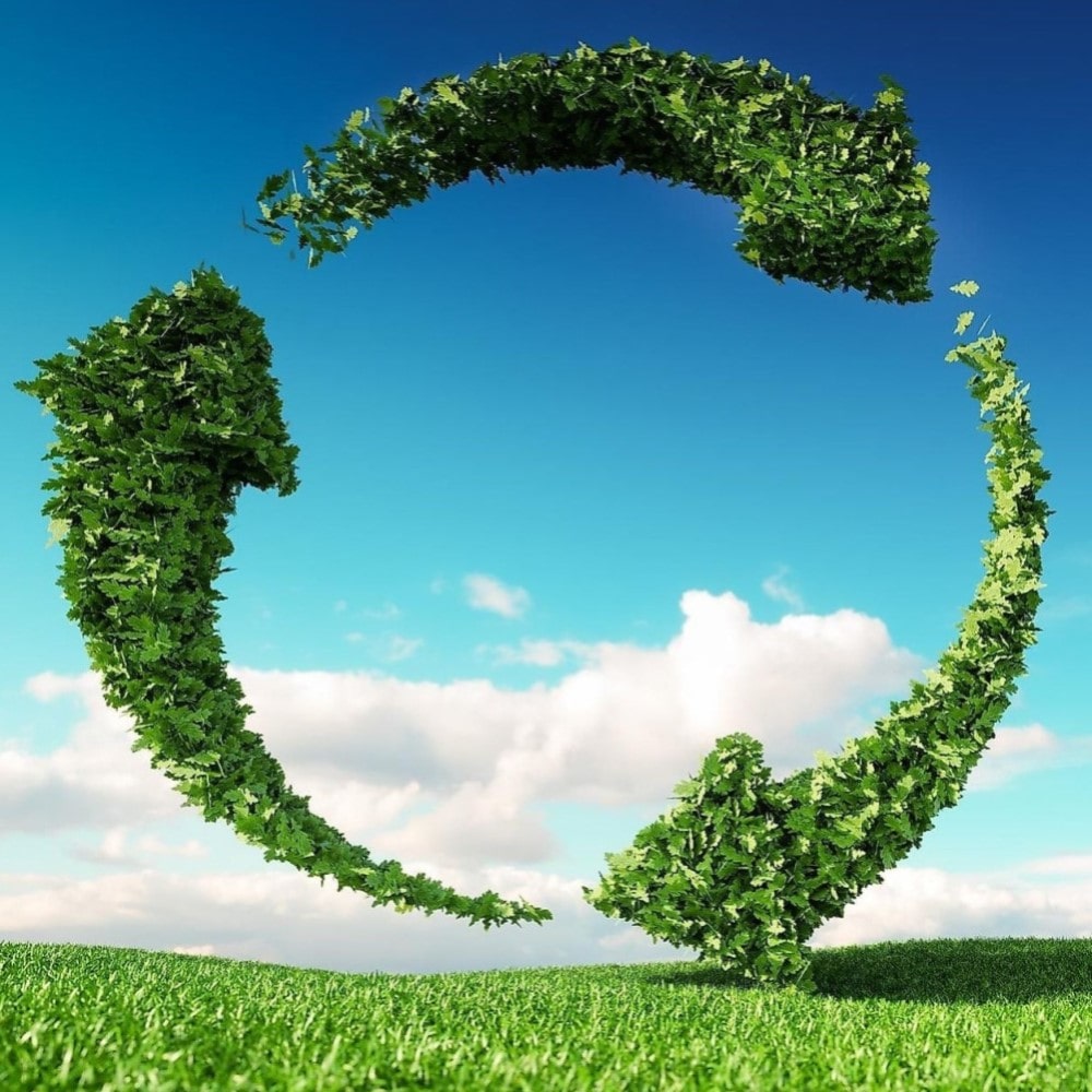 A CGI image of a recycling symbol composed of leaves standing on a huge grassy area.
