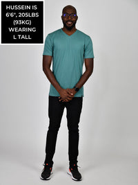 Thumbnail for A head to toe shot of a tall and slim guy in the studio wearing a teal L tall slim v-neck t-shirt.