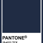 Pantone color swatch for Pageant Blue with a white border on a navy background